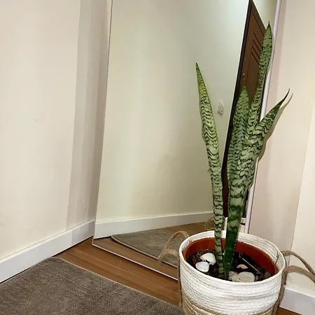 Apartmán Sea & Soul Vlorë